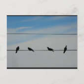 Vögel auf einem Draht Postkarte (Vorderseite)