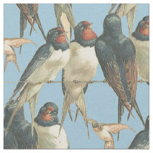 Vögel auf einem Draht