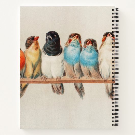 Vögel auf einem Perch Spiral Notebook Notizblock (Rückseite)