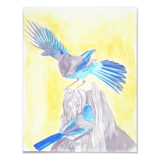 Vögel auf einem Stumpf Fotodruck (Vorne)