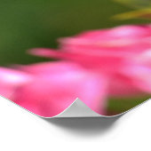 Vögel auf einem Zaun Poster (Ecke)