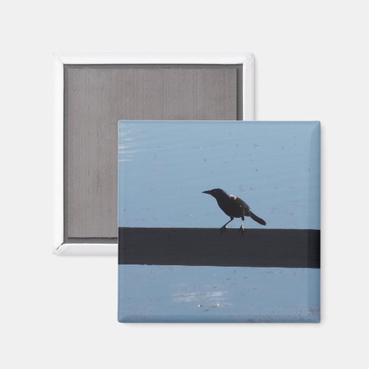 Vögel auf einem Zaunmagnet Magnet (Vorderseite/Rückseite)