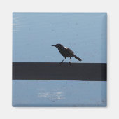 Vögel auf einem Zaunmagnet Magnet (Vorne)