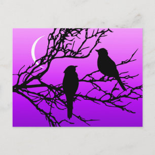 Vögel auf einem Zweig, Schwarz gegen Zweilicht Lil Postkarte