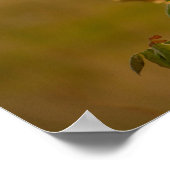 Vogel auf einem Zweigplakat Poster (Ecke)