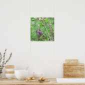 Vogel auf einem Zweigplakat Poster (Küche)