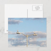 Vögel auf einer Lampenpost Postkarte (Vorne/Hinten)
