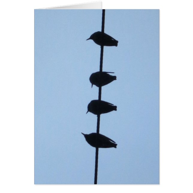 Vögel auf einer Linie 1 (Vorne)