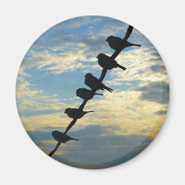 Vögel auf einer Schnur Magnet