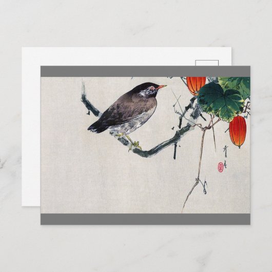 Vogel auf einer Trichosanthes Branch, Watanabe Sei Postkarte (Vorne/Hinten)