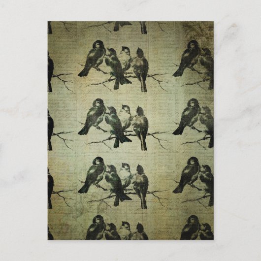 Vögel auf einer Zweigstelle BAckground Postkarte (Vorderseite)