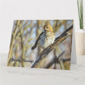 Vogel auf einer Zweigstelle - Geburtstagskarte Karte (Vorderseite)