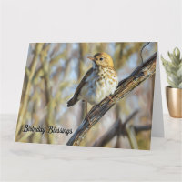 Vogel auf einer Zweigstelle - Geburtstagskarte