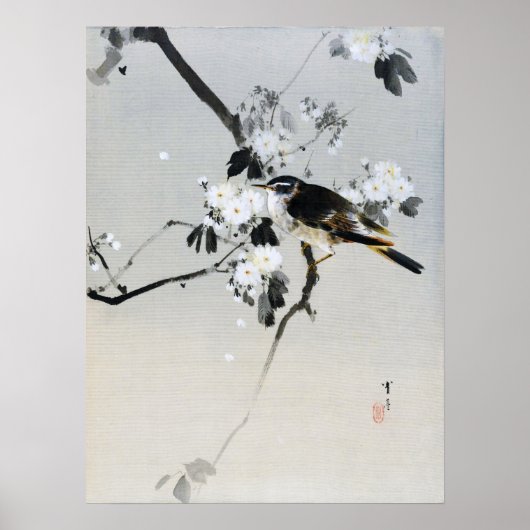 Vogel auf einer Zweigstelle von Cherry Blossom, Wa Poster (Vorne)