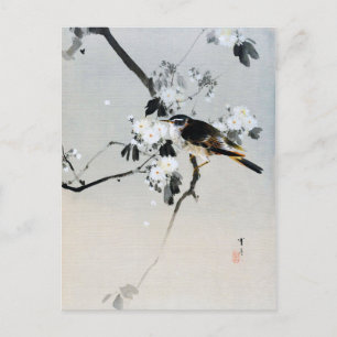 Vogel auf einer Zweigstelle von Cherry Blossom, Wa Postkarte