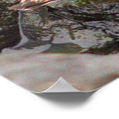 Vögel auf Felsen Foto Poster (Ecke)