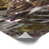 Vögel auf Felsen Foto Poster (Ecke)