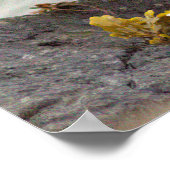 Vogel auf Felsen Foto Poster (Ecke)