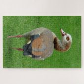 Vogel auf Gras Puzzle (Horizontal)