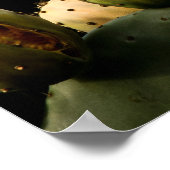 Vögel auf Kakteen Poster (Ecke)