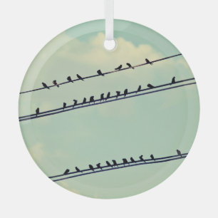 Vögel auf Leitungen, vintage blauer Himmel. Ornament Aus Glas