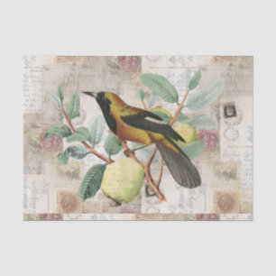 Vogel auf Niederlassungs-Vintagem Seidenpapier