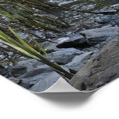 Vogel auf Rocks Poster (Ecke)