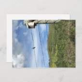 Vogel auf Stacheldraht Bärenpaw Postkarte (Vorne/Hinten)