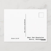 Vogel auf Stacheldraht Bärenpaw Postkarte (Rückseite)