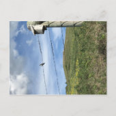 Vogel auf Stacheldraht Bärenpaw Postkarte (Vorderseite)