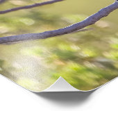 Vogel auf Twig (Bushtit) Fotodruck (Ecke)