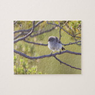 Vogel auf Twig (Bushtit) Puzzle