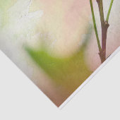 Vogel auf Twig & Pastell Seidenpapier (Ausschnitt)