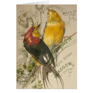 Vögel auf Vintage-Fotohintergrund
