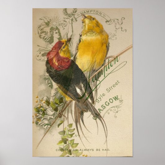 Vögel auf Vintagem Foto zurück Poster (Vorne)
