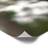 Vögel auf Vogelhausposter Poster (Ecke)