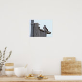 Vogel auf Vogelhausposter Poster (Küche)