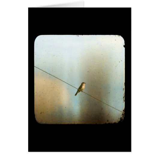 Vogel auf Wire (Vorne)