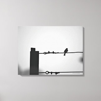Vogel auf Wire Leinwanddruck