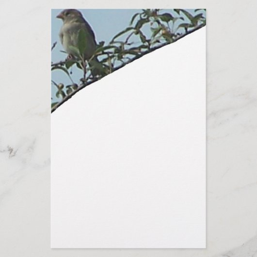 Vogel auf Zweig Briefpapier (Vorderseite)