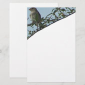 Vogel auf Zweig Briefpapier (Vorne/Hinten)
