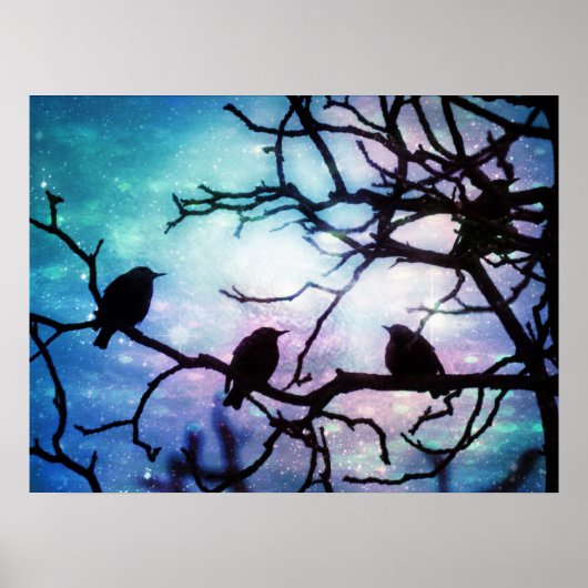 Vögel auf Zweig - Starlight Poster (Vorne)