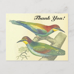 Vögel auf Zweigen, im Vintage-Stil, "Danke schön!" Postkarte