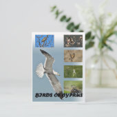 Vögel auf Zypern Postkarte (Stehend Vorderseite)