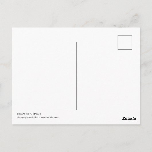 Vögel auf Zypern Postkarte (Rückseite)
