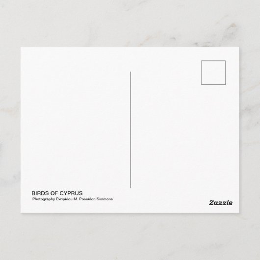 Vögel auf Zypern Postkarte (Rückseite)