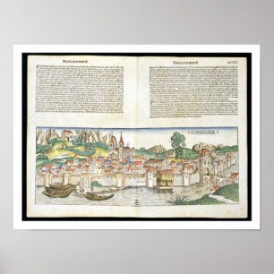 Vogel-Augenblick des Konstantes aus der Nürnberger Poster