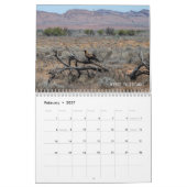 Vögel aus Australien Foto Kalender (Feb 2027)