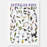 Vögel aus Australien