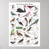 Vögel aus Australien Poster (Vorne)